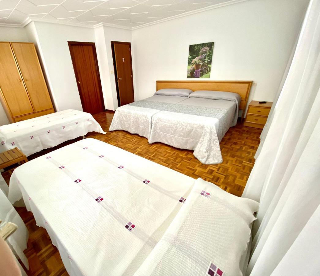 Garden Lodge Hostal Evencio Ribadavia Zewnętrze zdjęcie