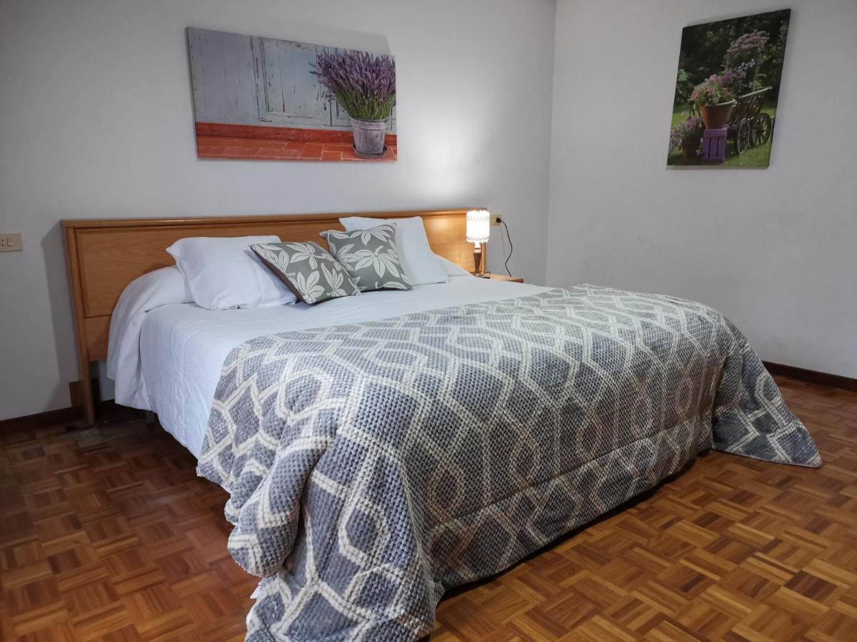 Garden Lodge Hostal Evencio Ribadavia Zewnętrze zdjęcie